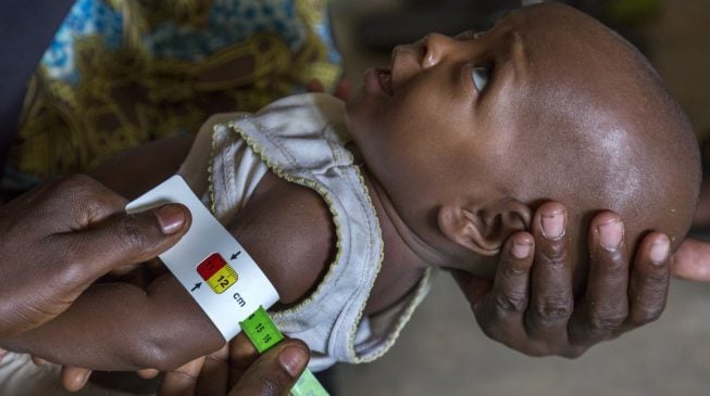 VIDEO: How UNICEF malnutrition programme is saving lives in northern Nigeria