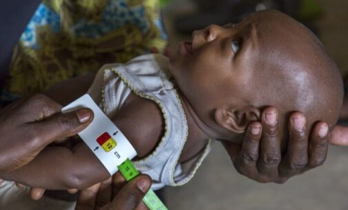 UN: Nearly 6m children in northern Nigeria at risk of acute malnutrition