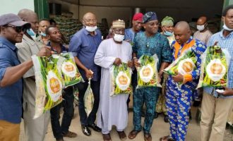 Some people demarketing our state for selfish reasons, says Amosun on rumour of fake rice