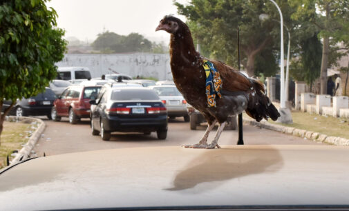 REPORTER’S DIARY: How comments in Washington DC caused fuel queues in Nigeria