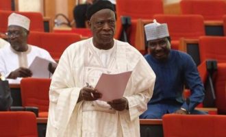 Buhari and the parable of ‘king’ elephant