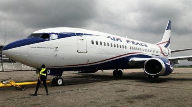 Drama as cows prevent aircraft from landing at Akure airport