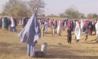 Chibok, Dapchi, others and psychosis of Boko Haram terrorism