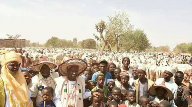 Miyetti Allah chairman denies linking Plateau killings to reprisal attacks