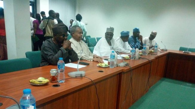Kingibe, NIA DG appear before house of reps committee