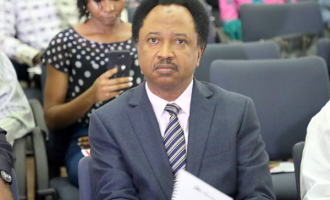 Shehu Sani on N2bn suit: El-Rufai can’t intimidate me