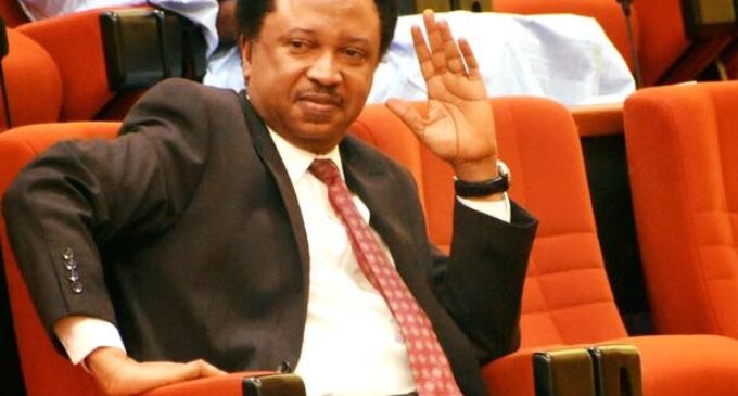 Missing N36m: Shehu Sani storms JAMB headquarters with snake charmers