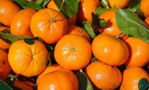 Eat Me: Five ways tangerine helps to boost your health