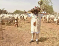 Herdsmen from all parts of Nigeria should relocate to Kano, says Ganduje