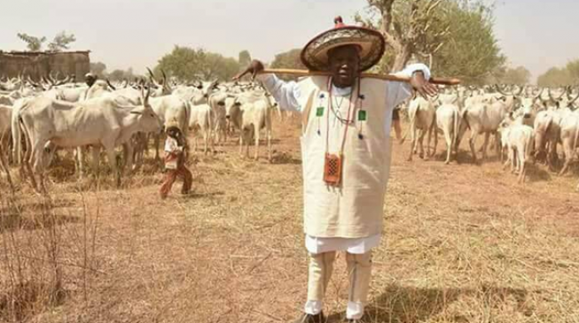 Herdsmen from all parts of Nigeria should relocate to Kano, says Ganduje