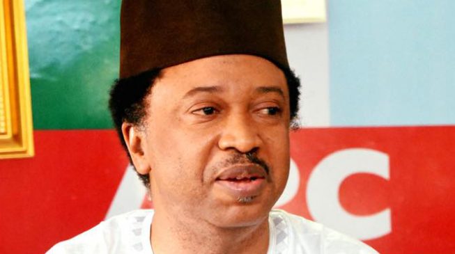 Apologise to el-Rufai’s government or remain suspended, Kaduna APC tells Shehu Sani