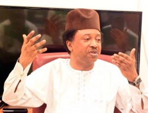 Shehu Sani: Most governors spend weekdays in Abuja while their states are in flames