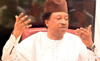 $1bn security fund: Shehu Sani asks FG not to abandon the police