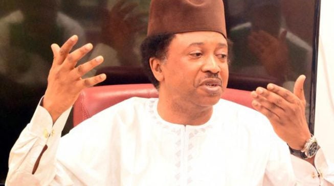 Humanitarian crisis in north-east has become an industry, says Shehu Sani