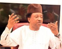 Humanitarian crisis in north-east has become an industry, says Shehu Sani