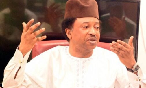 Buhari has succumbed to the firepower of governors, says Shehu Sani on APC crisis