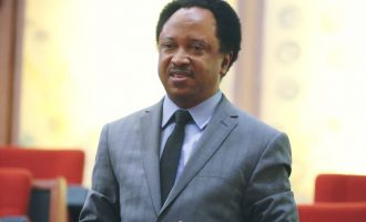Most Nigerian politicians lack ideology, says Shehu Sani