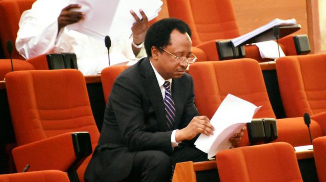 Shehu Sani: SURE-P, N-Power are handouts for political gain