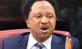 Exploiting Abiola’s name for 2019 elections will splash oil on the pearl, says Shehu Sani