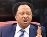 ‘I’ve been framed but I won’t be silenced’ — Shehu Sani reacts to extortion allegation