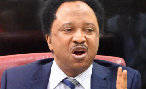 Shehu Sani on Sowore: If you can have coffee with bandits, you can dialogue with dissenting voices