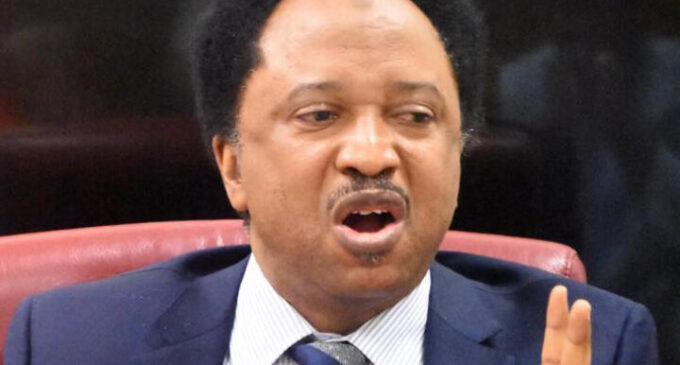 ‘I’ve been framed but I won’t be silenced’ — Shehu Sani reacts to extortion allegation