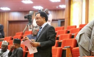 Emperor governors, APC’s disorderliness… Shehu Sani lists ‘threats’ to Nigeria’s democracy