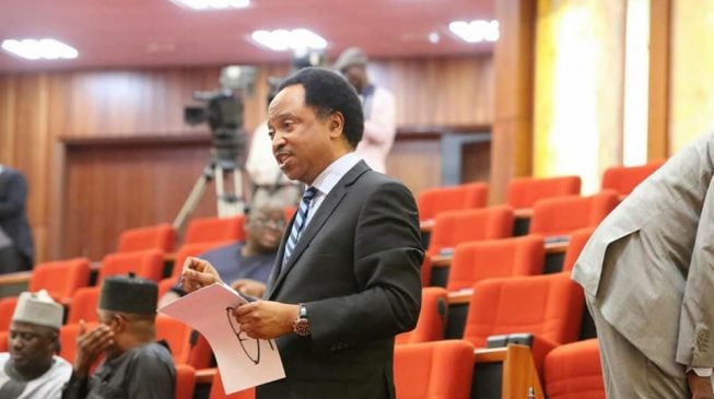 Shehu Sani: It may be painful that I revealed what senators earn
