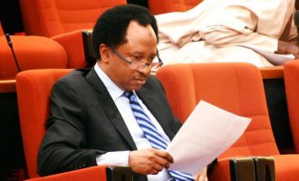 Nigeria gradually sliding into a totalitarian state, says Shehu Sani on invasion of senate