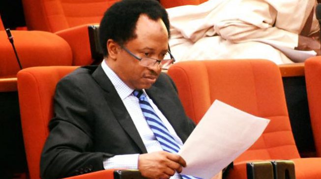 Ex-police commissioner accuses Shehu Sani of forgery