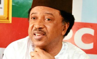 Shehu Sani: If I’m leaving APC, I’ll make it known