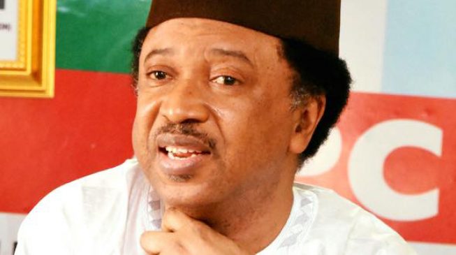 Shehu Sani describes indirect primary as a breeding ground for corruption