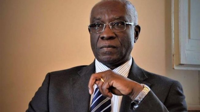 Got to Europe on student visa, warned Nigerians about Libya… meet Iwobi, the first black Italian senator