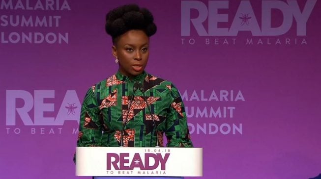 Chimamanda: Blame malaria for my poor grasp of mathematics