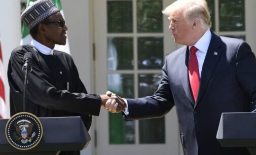 VIDEO: ‘Nigeria corrupt but Buhari cutting down substantially’ — 7 takes from Buhari-Trump address