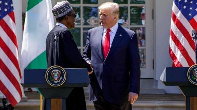 Buhari’s US speech is rice without stew