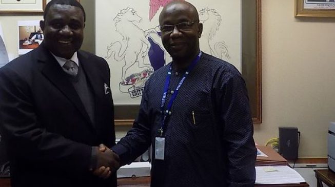 Nigerian elected into UN rights committee