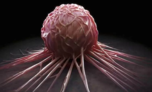Scientists discover how to ‘turbocharge’ immune system to fight cancer