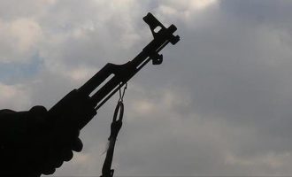 Another Nigerian shot dead in South Africa