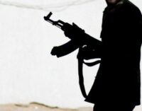 Two abducted as gunmen attack Gombe community