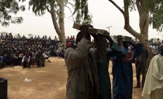 ‘750 kidnappers, cattle rustlers’ surrender in Kaduna