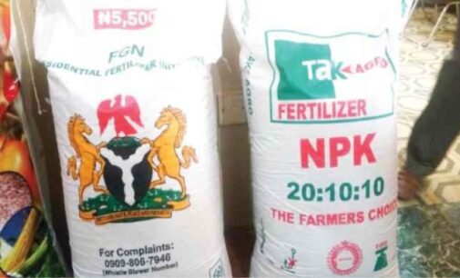 Mass fertiliser exports ‘could commence in two years’