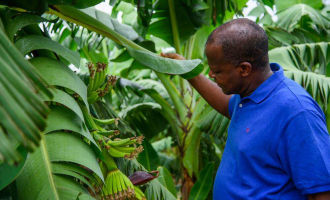 Dogara: Until we have mechanised farming, any talk of progress in agriculture is cheap