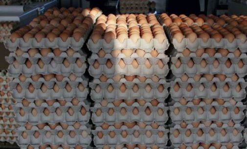 ‘Officials steal’ crates of eggs, tubers of yam meant for school feeding programme