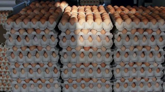 ‘Officials steal’ crates of eggs, tubers of yam meant for school feeding programme