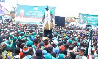 Two senators among 11 aspirants cleared for Osun PDP gov primary