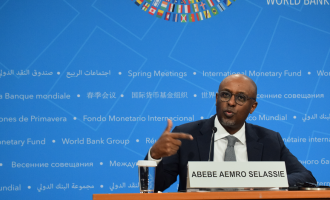 IMF raises red flag on increased borrowings by Sub-Saharan African countries