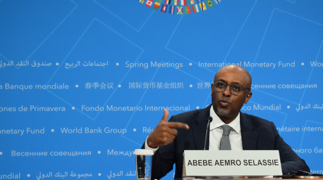 IMF raises red flag on increased borrowings by Sub-Saharan African countries