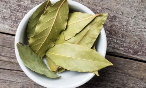 Eat Me: Good for diabetics, relieves anxiety… six reasons bay leaf is ‘bae’