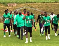 Rohr: Super Eagles not ready for the World Cup